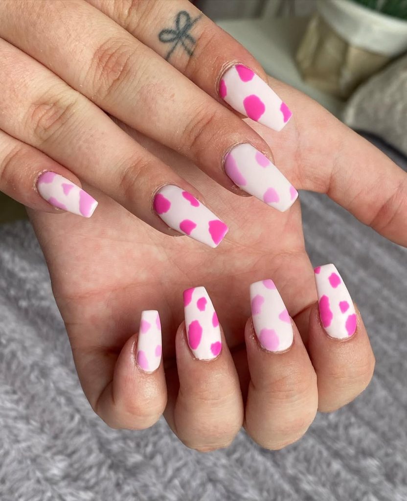  Pink and White Cow 